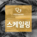 박창언 동물병원 이미지