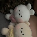 코~오 자자 이미지