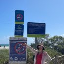 마이애미 이미지