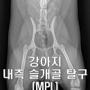 위례중앙동물의료센터 이미지