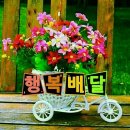 행복을파는장사꾼 이미지