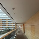 해비치호텔 | 제주 해비치 호텔 후기 | 4월 봄에 다녀온 솔직 리뷰 (객실·조식·수영장 총정리)