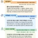 V랜드 물놀이장 이미지