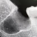 연세남부치과의원 이미지