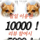 나우휘트니스 이미지