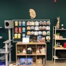 캣 미용실 이미지