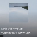 보나쥬르 레티치놀과 함께하는 저속노화챌린지 2주 후기