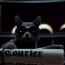 우정앤독스 이미지