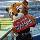 신화합기도 이미지