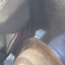 신안카정비공업사 이미지