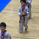세종 고운 태권도 이미지