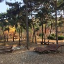 소풍길 들꽃산책 이미지