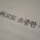 도린