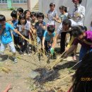 안강초등학교 이미지