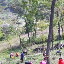 해치농장 이미지