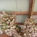 오월농장 이미지