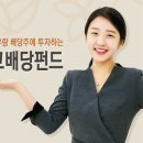 신영글로벌 이미지