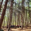 소백산자락길 제4코스 | 선비의 마음으로, 봄을 걷다(소백산 자락길)