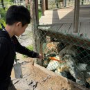 지금관광농원 | 강릉 아이랑 가볼만한곳 뒷뜨루 관광농원 동물먹이주기체험 식물원 방문 추천 후기