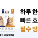 믿음종합개발 이미지