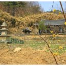 봉림정사(鳳林精舍) 이미지