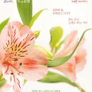 음악극 적로 | 배삼식 극작, 최우정 작곡, 정영두 연출·안무의 오페라 화전가를 보며 떠오른 단상(斷想)들에 '흐뭇'