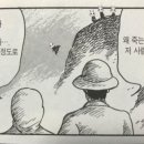 아로아로이 이미지
