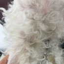 스퀘어에듀센터 이미지