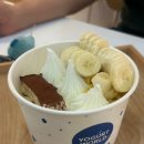 포항 요거트 아이스크림 맛집 요거트 월드 문덕점