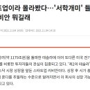 배원에너지 이미지