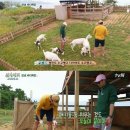 새동네목장 이미지