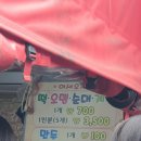 강릉여행; 강릉중앙시장[여고시절 카레떡볶이]솔직후기