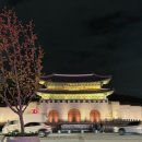 댕댕지구 | 서울러닝코스 광화문 댕댕런 gps 러닝 후기 &amp; 댕댕런 gpx 파일 공유