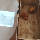 67 내돈내산 내돈내먹 내 최애치킨 브랜드 교촌치킨 배달 솔직후기