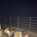 비고리조트 3 이미지