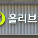 씨제이올리브영 네이버블로그
