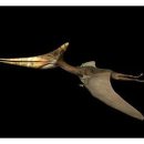 프테라노돈 이미지