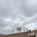 진가네추어탕 이미지