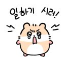 백천식당 이미지