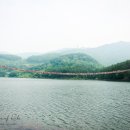 호수매점 이미지