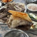 도진식당 | 낙성대 노포 맛집 호남식당 아진짜 맛있다