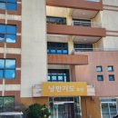 낭만가도 후진 이미지