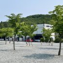 청주 노리터 키즈캠핑장_패밀리존 사이트(명당자리, 장단점,7번째 캠핑기록)