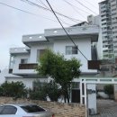 완월동248 이미지