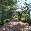 풍덕교옆 뚝방 이미지