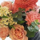 (11/20)플라워박스 꽃꽂이 이미지