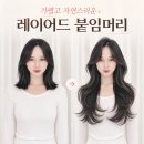 이천 성남 붙임머리 성지 라본헤어 분당 후기