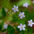 녹원빌딩 이미지