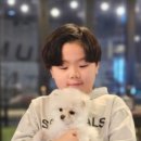 으르렁애견카페 이미지