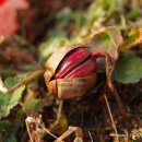 도토리의꿈 이미지